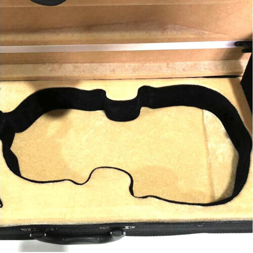 Violin Case 60cm x 21.5cm Hardshell Allaround Protection with Hygrometer Convertible Backpack Straps 1