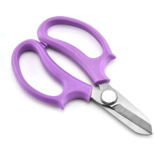 Stainless Steel Garden Pruning Shears with Ergonomic Grip and Safe Lock for Precise Cutting
