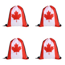 Bundles Of 4 Tear Resistant Polyester Bags Decorated-Canada