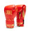 Luvas de boxe Leone DNA 1
