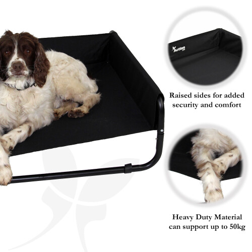 Actiaspet Medium Elevated Dog Bed with Raised Sides 2