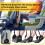 Airplane Foot Hammock with Memory Foam Cushioning, Adjustable Foot Support and Hardboard Stability Panel 3