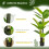 Homcom Plataneras Artificiale Verde 17 x 17 x 150 cm 4