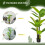 Homcom Plataneras Artificiale Verde 17 x 17 x 150 cm 5