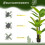 Homcom Plataneras Artificiale Verde 17 x 17 x 150 cm 6