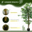 Homcom Ficus Artificiale Verde 15 x 15 x 150 cm 4