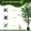 Homcom Ficus Artificiale Verde 15 x 15 x 150 cm 5