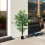 Homcom Ficus Artificiale Verde 15 x 15 x 150 cm 6