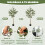 Homcom Olivos Artificiale Verde 15 x 15 x 150 cm 4