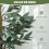 Homcom Plantas Artificiale Verde 15 x 15 x 150 cm 7