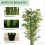 Homcom Bambú Artificiale Verde 17 x 17 x 180 cm 6