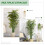 Homcom Bambú Artificiale Verde 17 x 17 x 180 cm 7