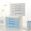 Lockable Mobile Filing Cabinet 4 Drawer Plastic Under Desk Storage Organizer for A4 Documents 4