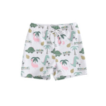 (12-18 Months, Creamy White Tree) Pantalones cortos de baño para niños, cintura elástica y estampado de dinosaurios, verano