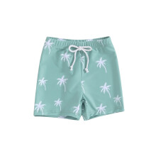 (6-12 Months, Peacock Green) Pantalones cortos de baño para niños, cintura elástica y estampado de dinosaurios, verano