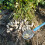 Egg Picker Tool Stainless Steel Long Handle Nut Gathering Tool with Ergonomic Grip for Farm Use (1pcs) 5