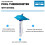 Floating Pool Thermometer Dolphin Design Shatter Resistant with String for Swimming Pools and Spas 4