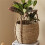 Decorative Planter Basket, Rattan Woven Flower Pot with Handles for Indoor Use Medium 4