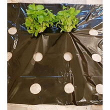 Black Plastic Mulch Film 95cm 5 Holes Preperforated Weed Control Grow Film for Vegetable Plants Greenhouse