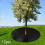 12 Pack Non Woven Tree Mulch Rings Weed Control Mats Reusable Garden Root Protector 25cm Diameter 2