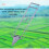 80cm Long Handle Bulb Planter Tool, Durable Iron Vegetable Seedling Transplanter for Garden 2