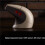 8Bitdo R8-C64 Retro Wireless Mouse Retro Tri-Mode Mouse  Key 3D Touch Scrolling for Office Game Mechanical Keyboard 2