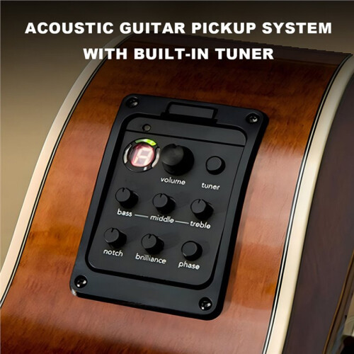 201 Akustisk Gitarrförstärkare 4-Bands EQ-Tuner 1