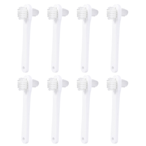 8Pz Spazzolini Denti Materiale PP Uso Domestico
