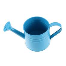 Metal Indoor Watering Can with Long Spout for Bonsai and Houseplants, Gentle Spray Control