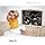Janod Janod - Large Double-Sided Wall-Mounted Blackboard 3