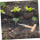 Ergonomic THandle Garden Dibber Planting Tool for Easy Transplanting and Efficient Hole Digging 4