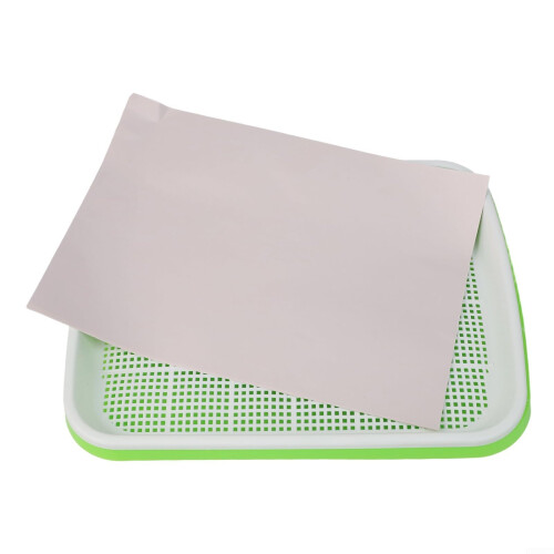 2 Layer Microgreens Growing Tray with Papers, Plastic Hydroponic Sprouting Container for Indoor Gardening 1