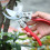 Professional Red Pruning Shears for Garden and Fruit Trees, Ergonomic Garden Scissors for Precise Cutting 3