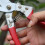 Professional Red Pruning Shears for Garden and Fruit Trees, Ergonomic Garden Scissors for Precise Cutting 4