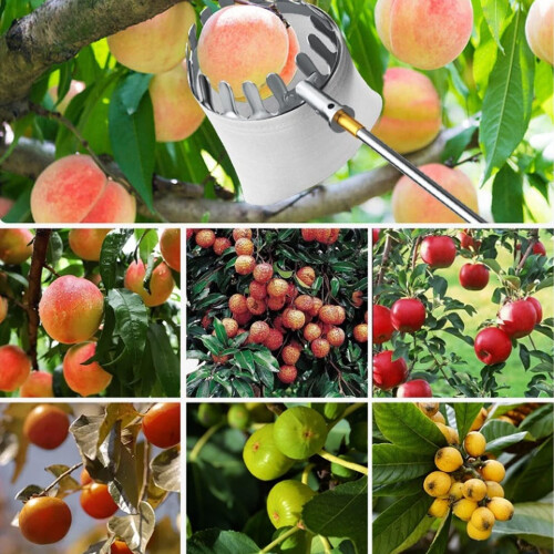 Fruit Picker Tool with Telescopic Extendable Pole, Non Slip Grip Handle and Large Bag, 9.8 ft 1