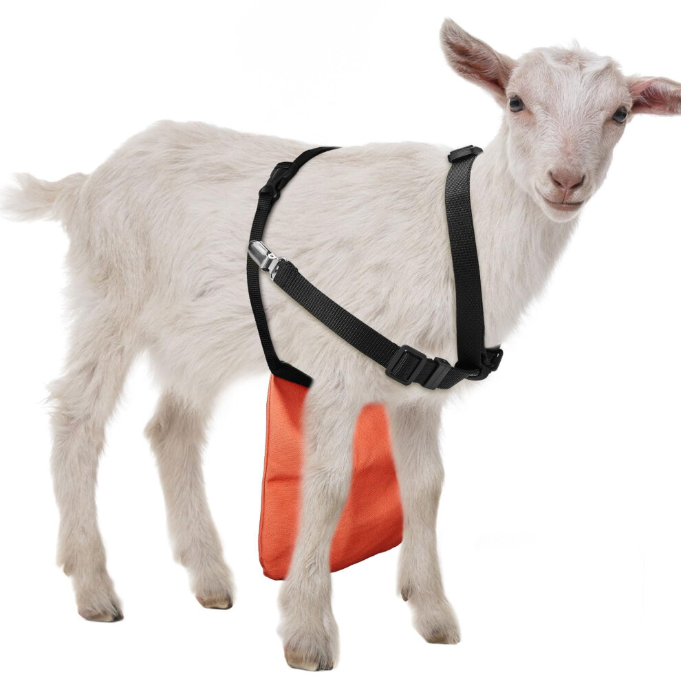 Adjustable Goat Breeding Control Apron Orange M Anti Mating Belt For Sheep Buck Reproduction Prevention 9330225171126
