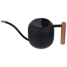 Metal Watering Can with Long Spout and Wooden Handle for Indoor Plants and Succulents