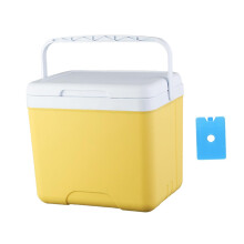 Portable Ice Cooler Box 13L Dual Temperature Control Insulated Chest for Camping Fishing BBQ Travel