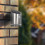 Luceco Luceco Solar LED Wall Light Stainless Steel IP44 1