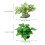 2Pcs Realistic Plastic Aquarium Plants Assorted Tank Decor 2