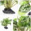 2Pcs Realistic Plastic Aquarium Plants Assorted Tank Decor 3
