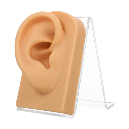 1Ensemble Silicone Décorative Professionnel
