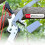 Telescopic Pole Saw 24FT Extendable Tree Pruner with Ergonomic Grip Handle for  Branches 4