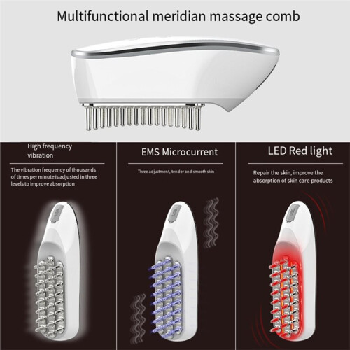 EMS Micro-Type Elektrische Haarverzorgingskam, Meridian Massagekam 1