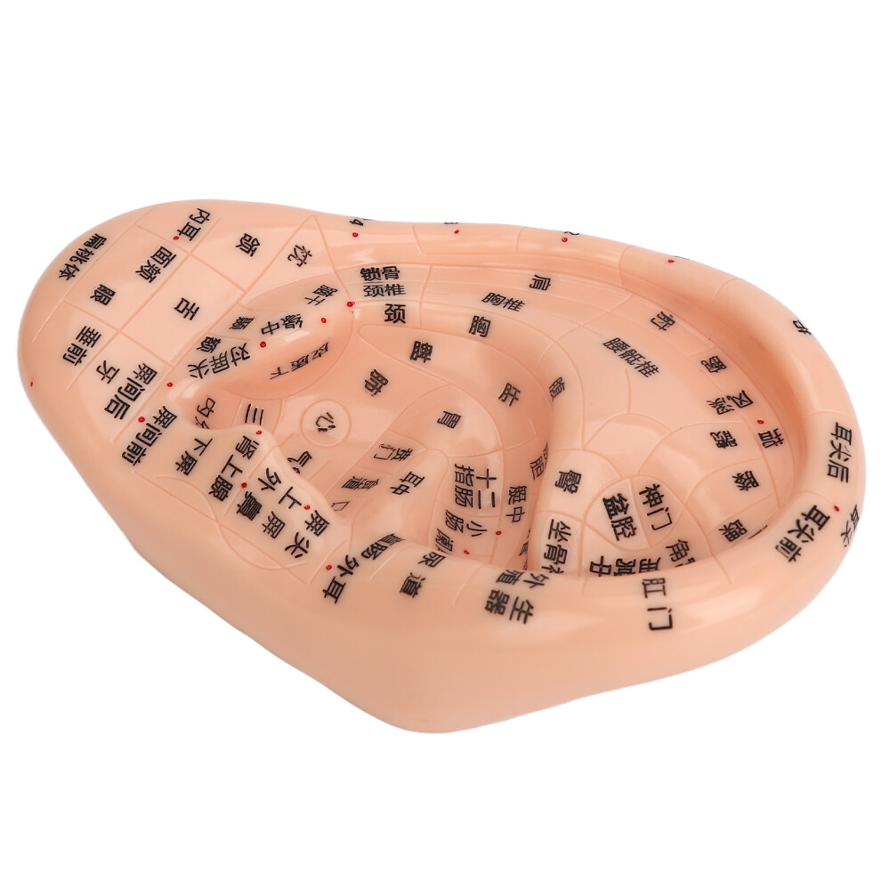 Ear Sticker Acupuncture Kit 600pcs PVC Model
