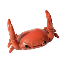 Crab Pen Display Stand Desk Pencil Organiser Eyeglasses Stand