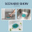 Silicone Drain Odor Stopper with Enhancing Insect Prevent for 2