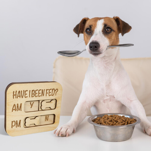 Wooden Feeding Schedule Reminder For Pet Bone Shaped Designs-N4 2