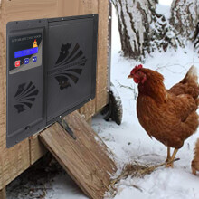 USB 5V Automatic Chicken Coop Door Black 34.5x29cm
