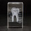 Crystal Anatomical Heart/Teeth Model Education Keepsakes-heart 5